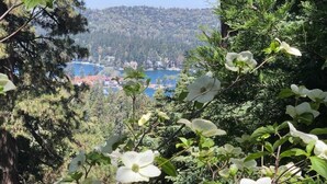 A view of a lake with buildings in the background, surrounded by dense greenery and white flowers in the foreground. - Peaceful Cozy Cabin Amongst the Trees with View of Lake Arrowhead (Lake Arrowhead)