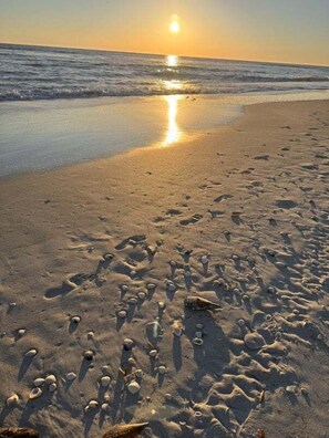 A beach with footprints and shells, a sunset, and calm water.