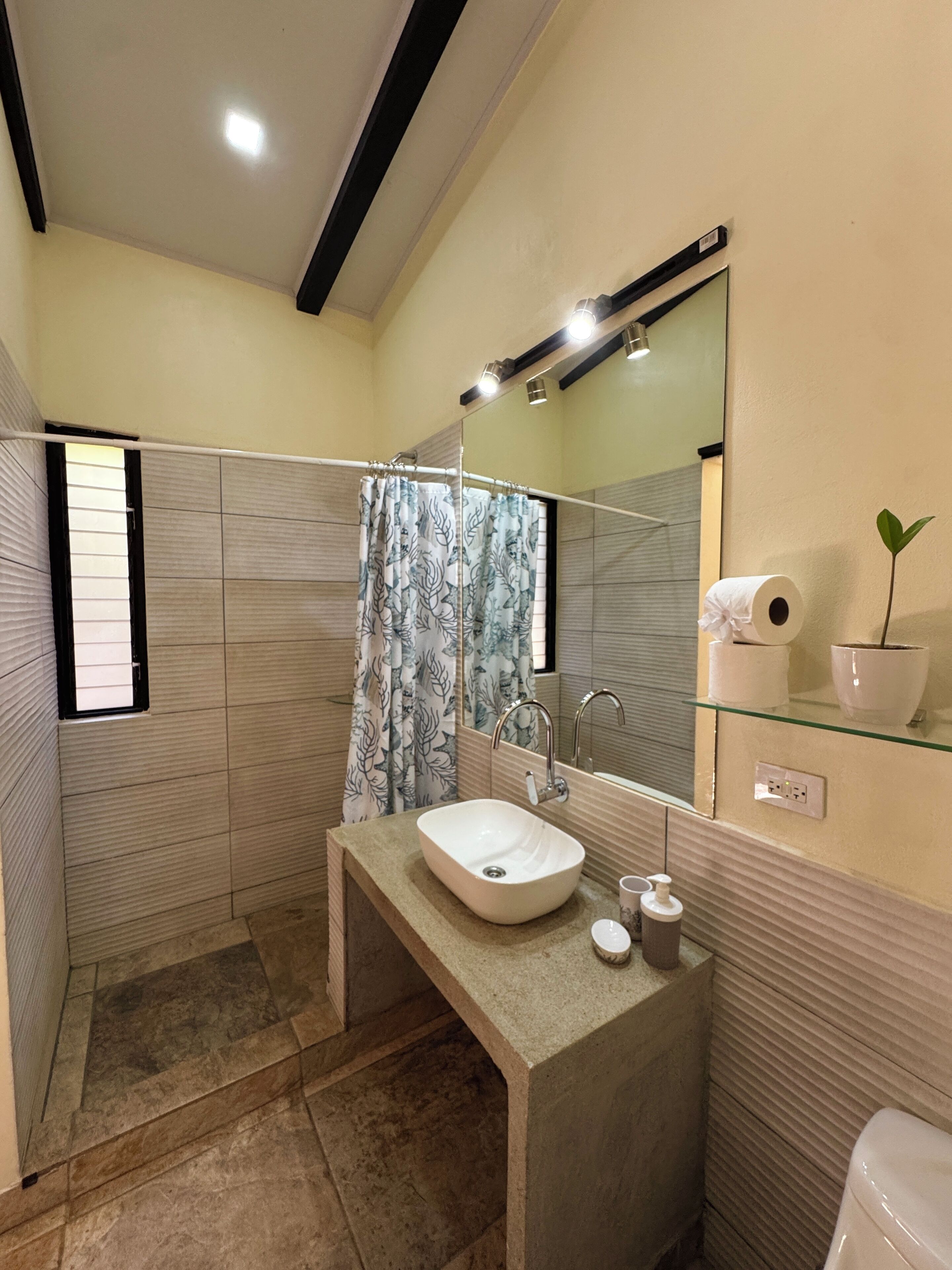 A bathroom with a shower, a sink, a mirror, and a toilet.
