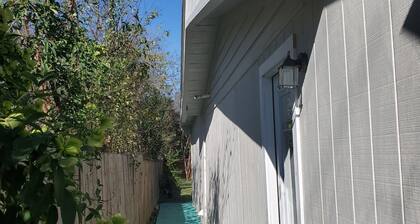 GREAT LOCATION! Cozy Clean Serene Studio w/Free parking!