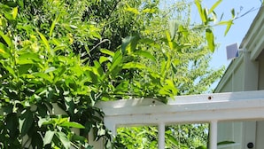 Une porte en bois peinte en blanc, sur laquelle on peut lire l’inscription « BIENVENUE », un banc en bois et un chemin de jardin menant à une maison.