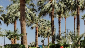 A pathway lined with palm trees and red flowers, leading towards a body of water. - My Marina Select Hotel (Datça)
