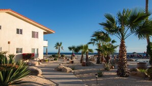 A beachfront property with a sandy patio, palm trees, and a building with a red roof. - Beachfront Retreat with Convenient Access to Shops, Dining, and More (San José del Cabo)
