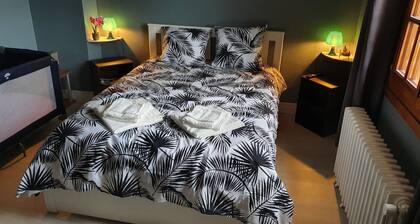 Maison, jardin, barbecue et vélo classé 3*