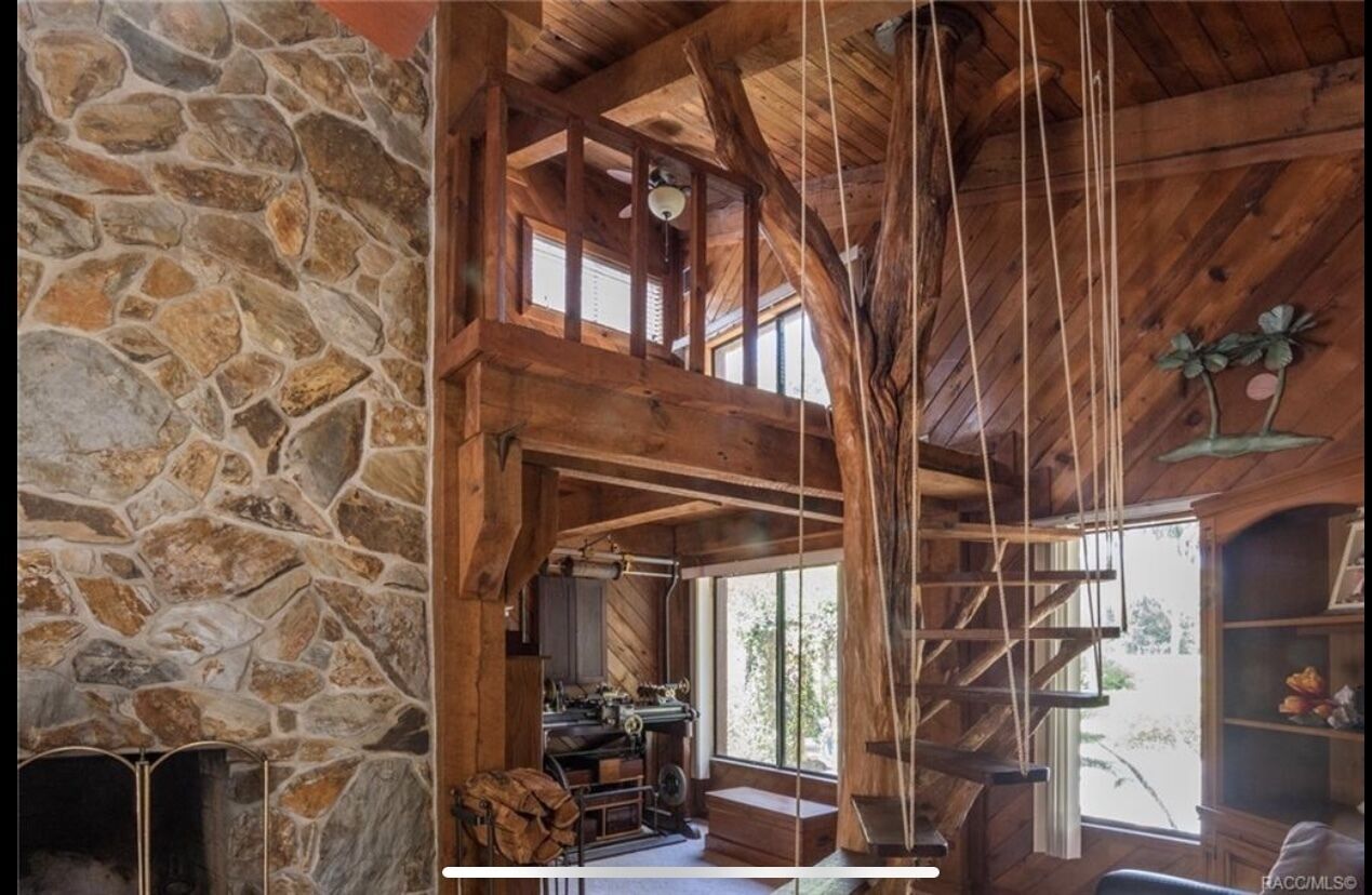 Unique Treehouse on the River