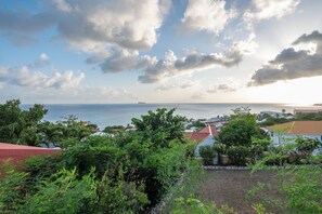 Un paysage côtier offrant une vue sur la mer, des maisons et une végétation luxuriante.