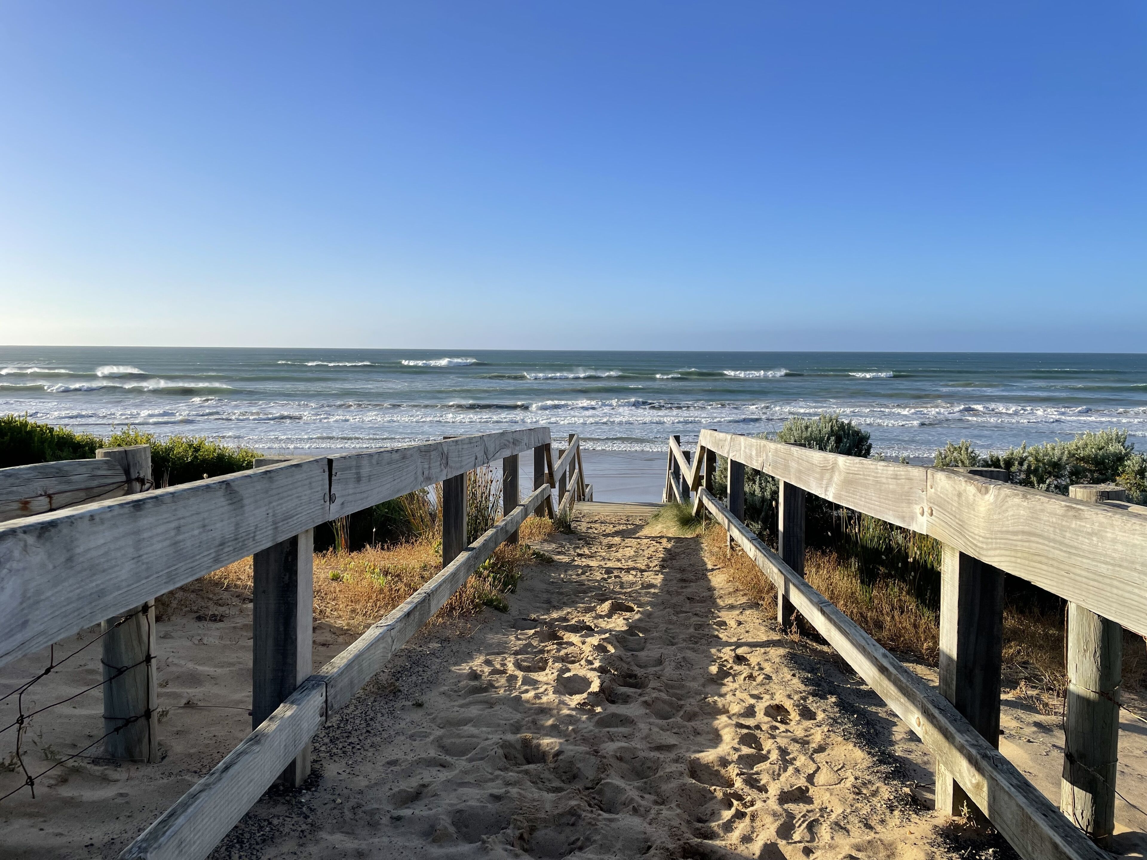 Our local surf