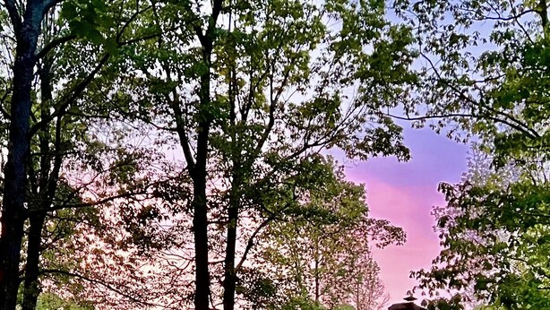 A rustic cabin with a porch and multiple windows, surrounded by trees and a gravel path. - My Old Kentucky Home!  Restful Log cabin retreat.. (Madisonville)