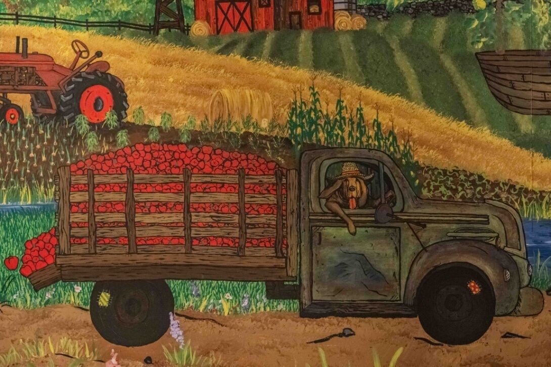 Un vieux camion dont la benne en bois est remplie de pommes rouges est garé à côté d’une grange.