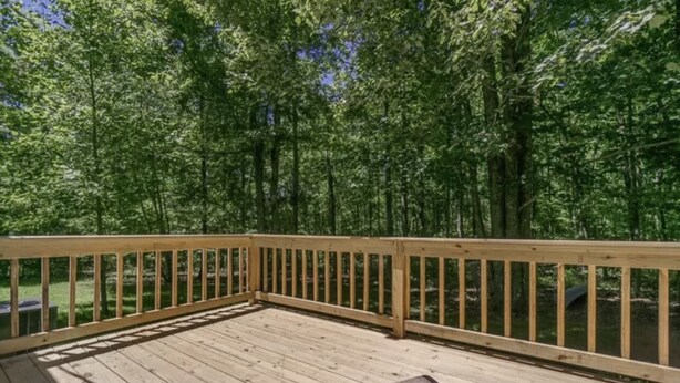 A wooden deck with a railing, surrounded by dense green trees. - Lake Cottage minutes away from downtown Sparta (Sparta)