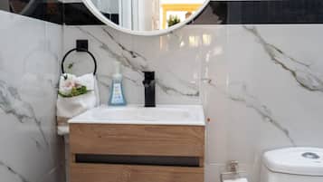 Shower, hair dryer, bidet, towels