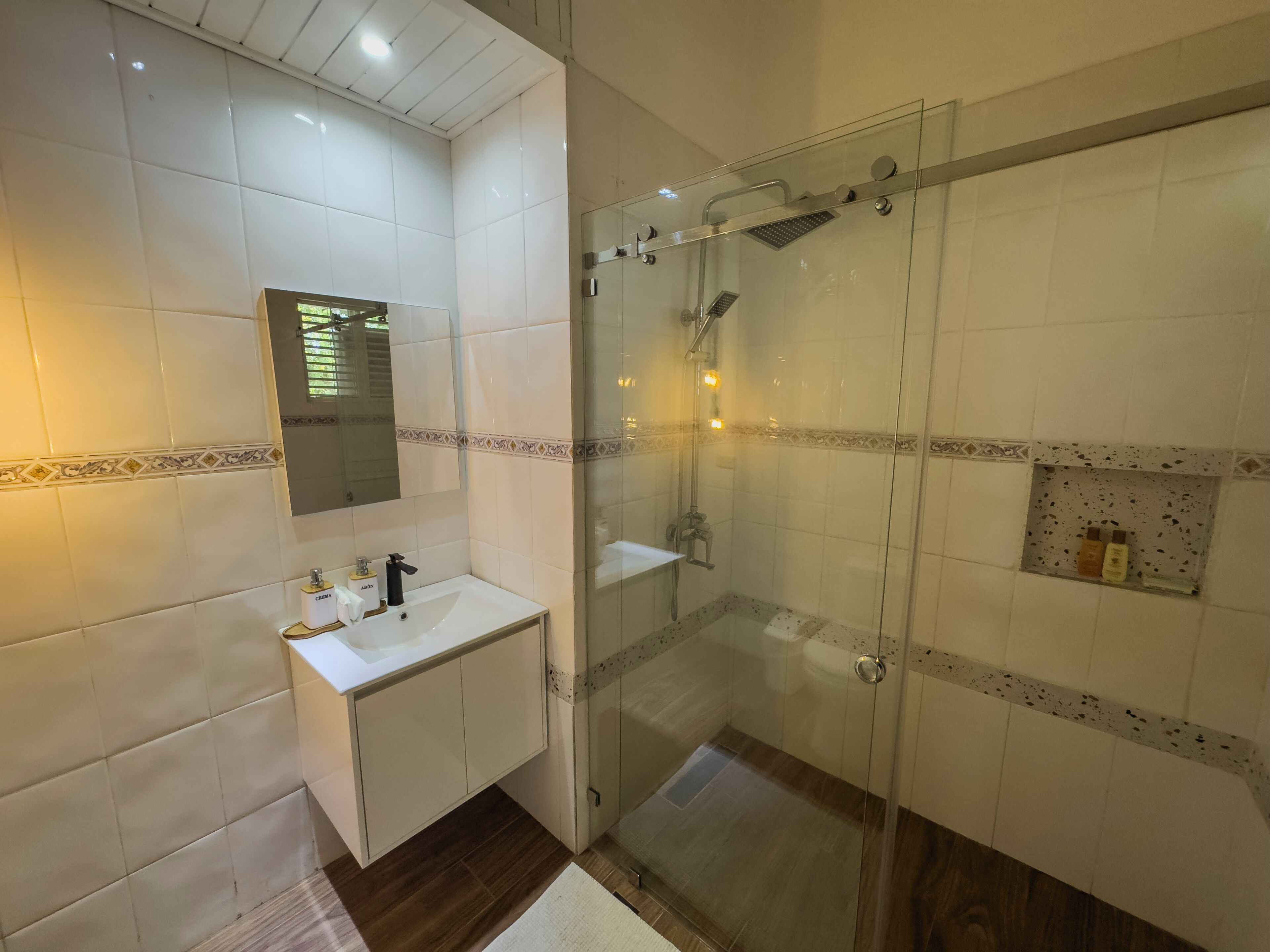 Shower, hair dryer, bidet, towels
