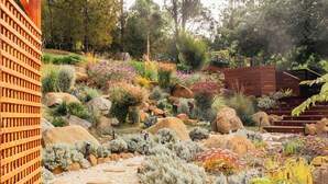 Un jardín ajardinado con diversas plantas, rocas y una valla de madera.