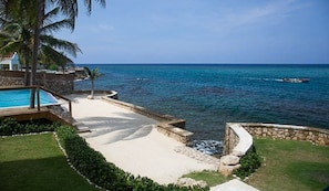 Relax by the serene pool surrounded by lush greenery and a clear ocean view.