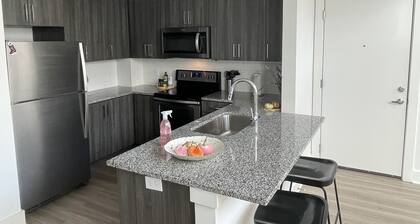 2 Level High Rise Grant Park Atlanta