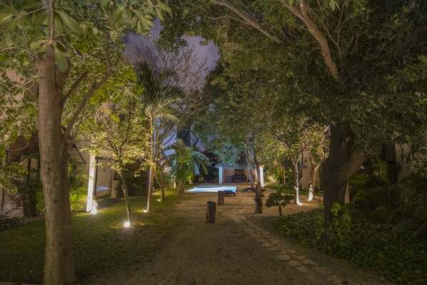 A pathway lined with trees and illuminated by soft lights, leading to a pool area.