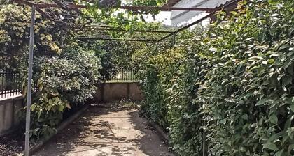 Lovely 2-Bedroom Villa in Akrata, all seasons!