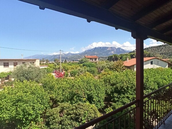 A balcony with a view of a vineyard, a mountain, and houses in the background.