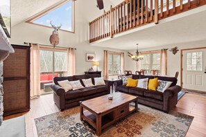 Smart TV, fireplace, video game console, DVD player