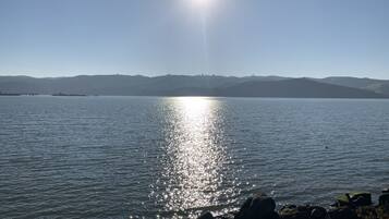 靠近海滩、沙滩椅、沙滩毛巾