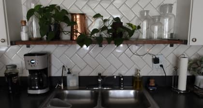 Adorable 3 Bedroom/1 Bath In Town Nampa Idaho. Arcade room!