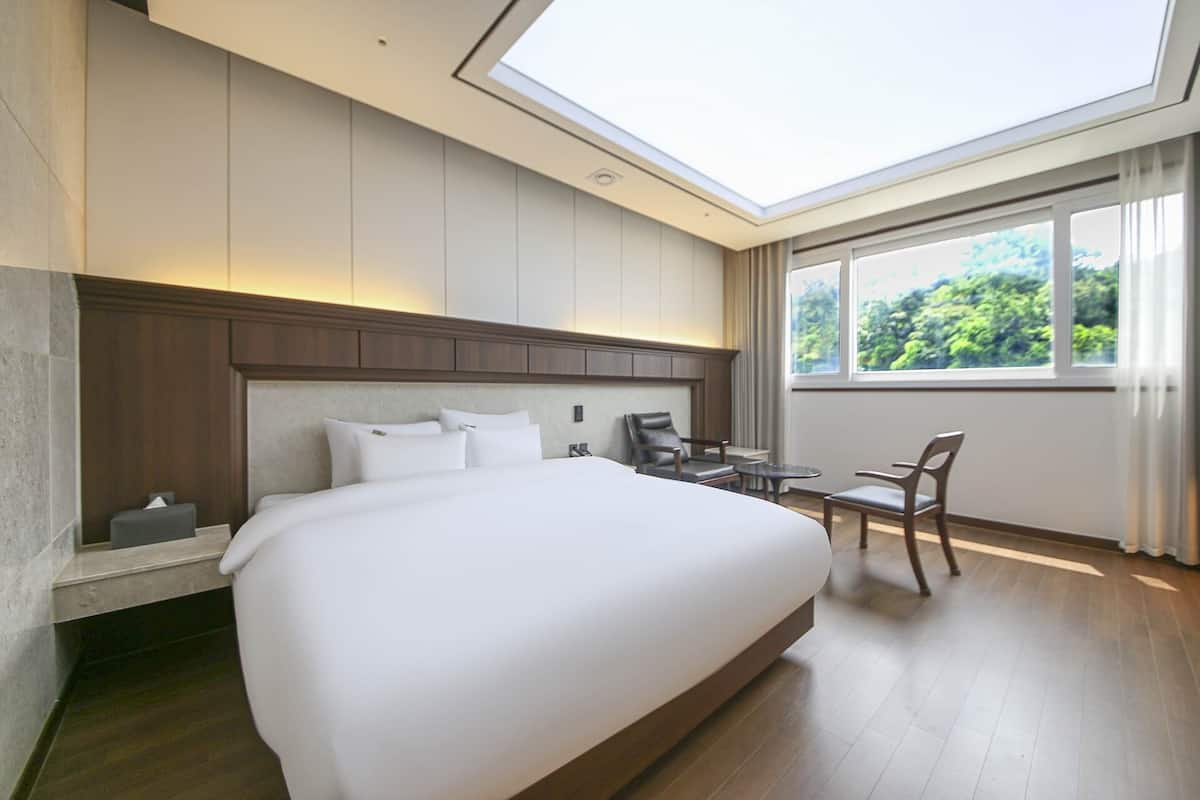 Habitación de hotel con una cama grande, un escritorio y una silla. Se ve vegetación a través de la ventana.