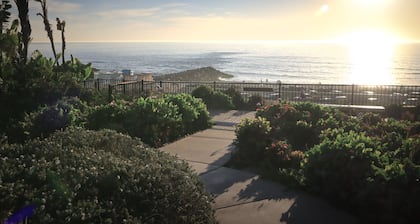 Astonishing Oceanfront beach house with Jacuzzi & Ocean Views & … Lemon Trees