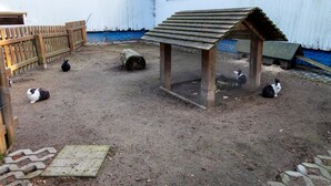 Un espacio al aire libre cercado con un refugio de madera, un banco de madera y un sendero pavimentado.