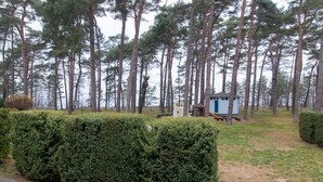 A forested area with a small shed and a statue. - Double room 17 - Ferienanlage Zum Knirk (Lubmin (Seebad))