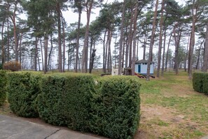 A forested area with a small shed and a statue.