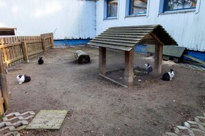 Un espace extérieur clôturé comprenant un abri en bois, un banc en bois et un chemin dallé.