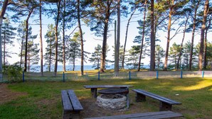 Un espace de pique-nique équipé de bancs et d’un foyer, entouré de grands arbres et offrant une vue sur l’eau.