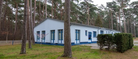 A single-story building with a white exterior and blue trim, surrounded by tall pine trees.