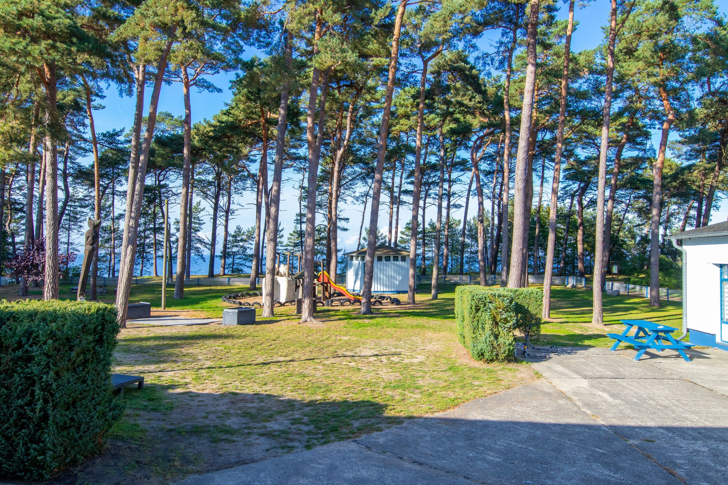 A park with tall trees, picnic tables, and a playground.