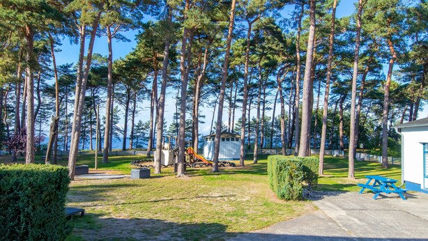 Un parque con árboles altos, mesas de picnic y un parque infantil.
