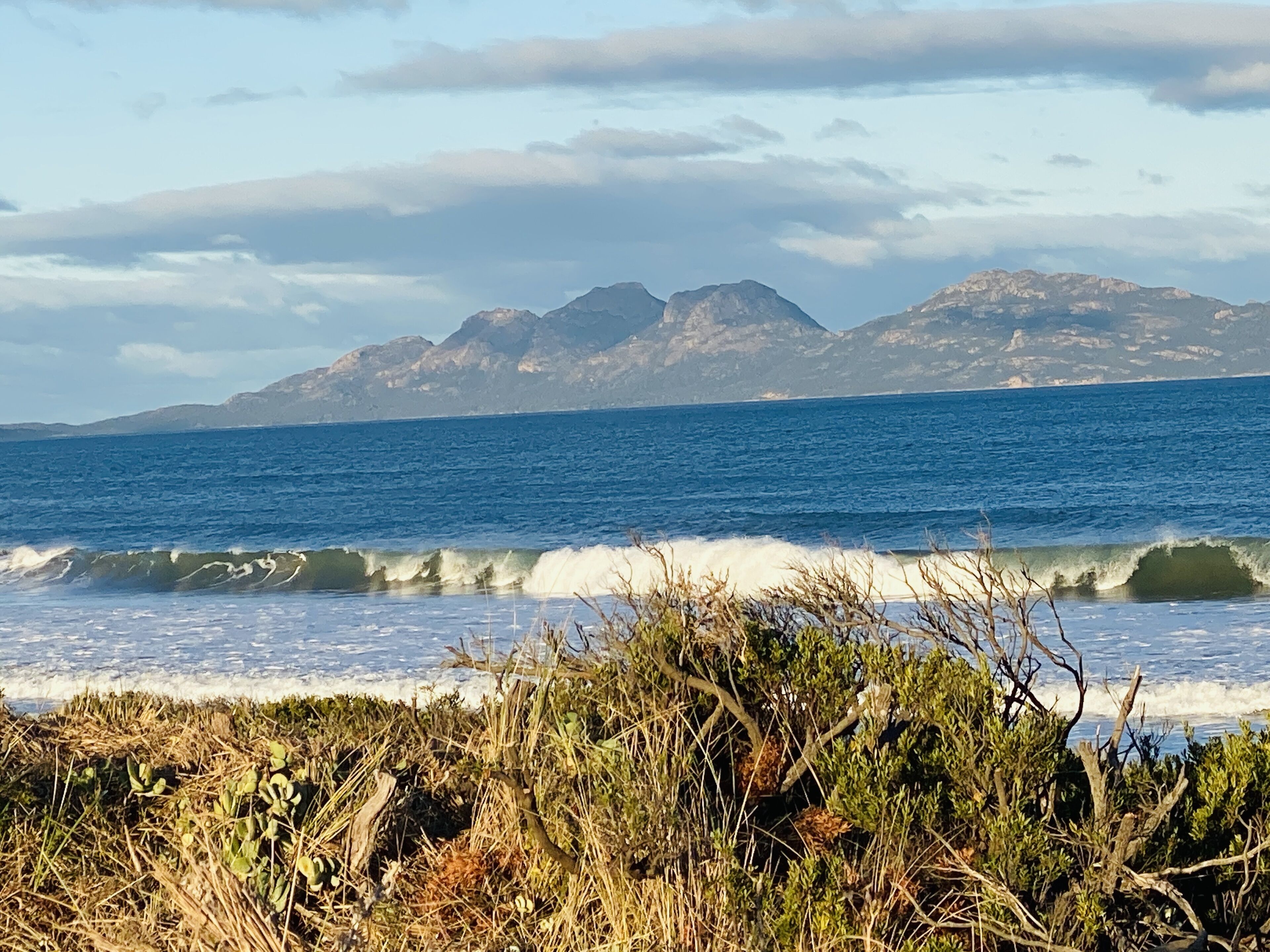 IdleWild - Secluded Absolute Beachfront Escape — image 26