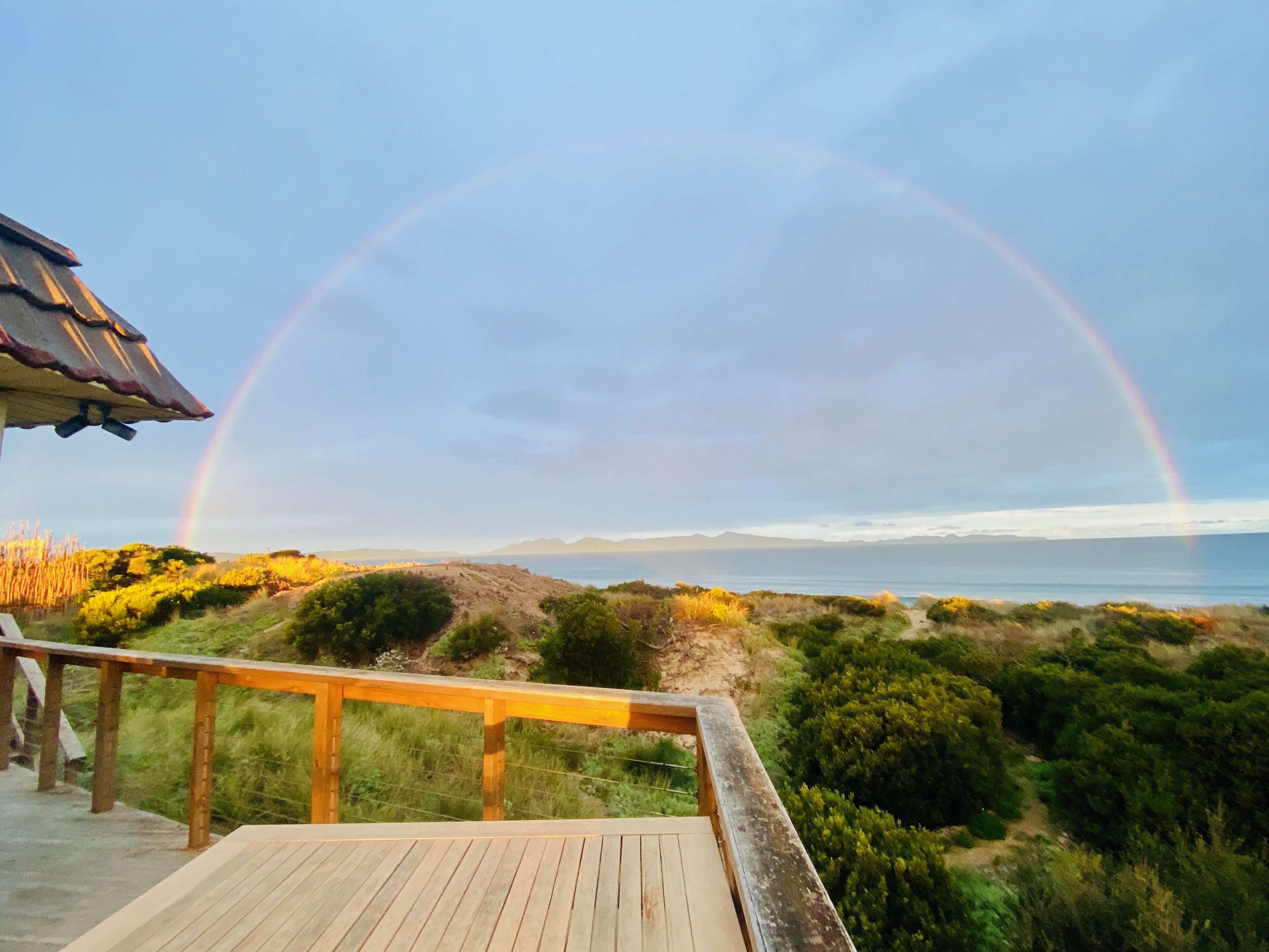 IdleWild - Secluded Absolute Beachfront Escape — image 4