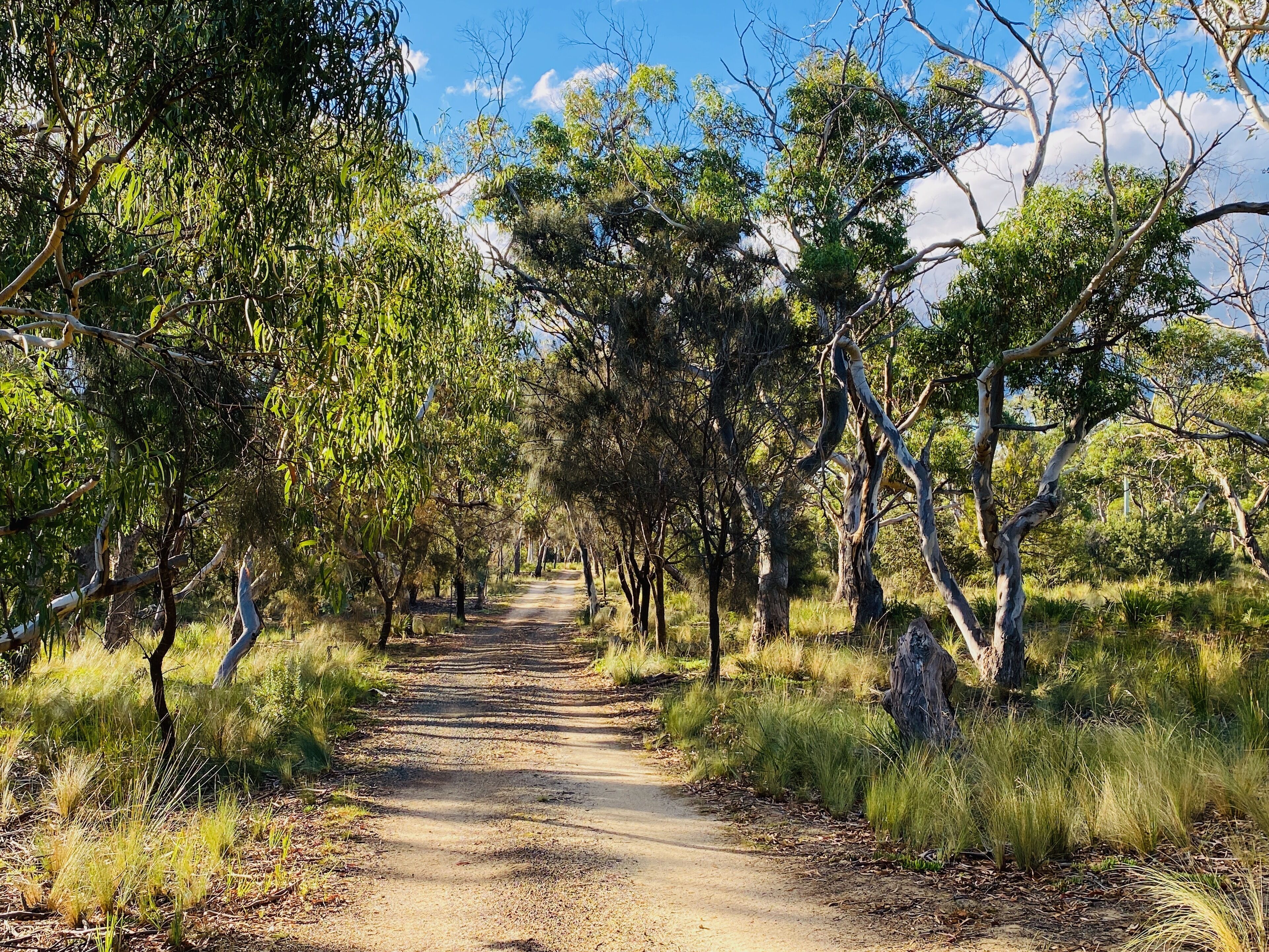 IdleWild - Secluded Absolute Beachfront Escape — image 28