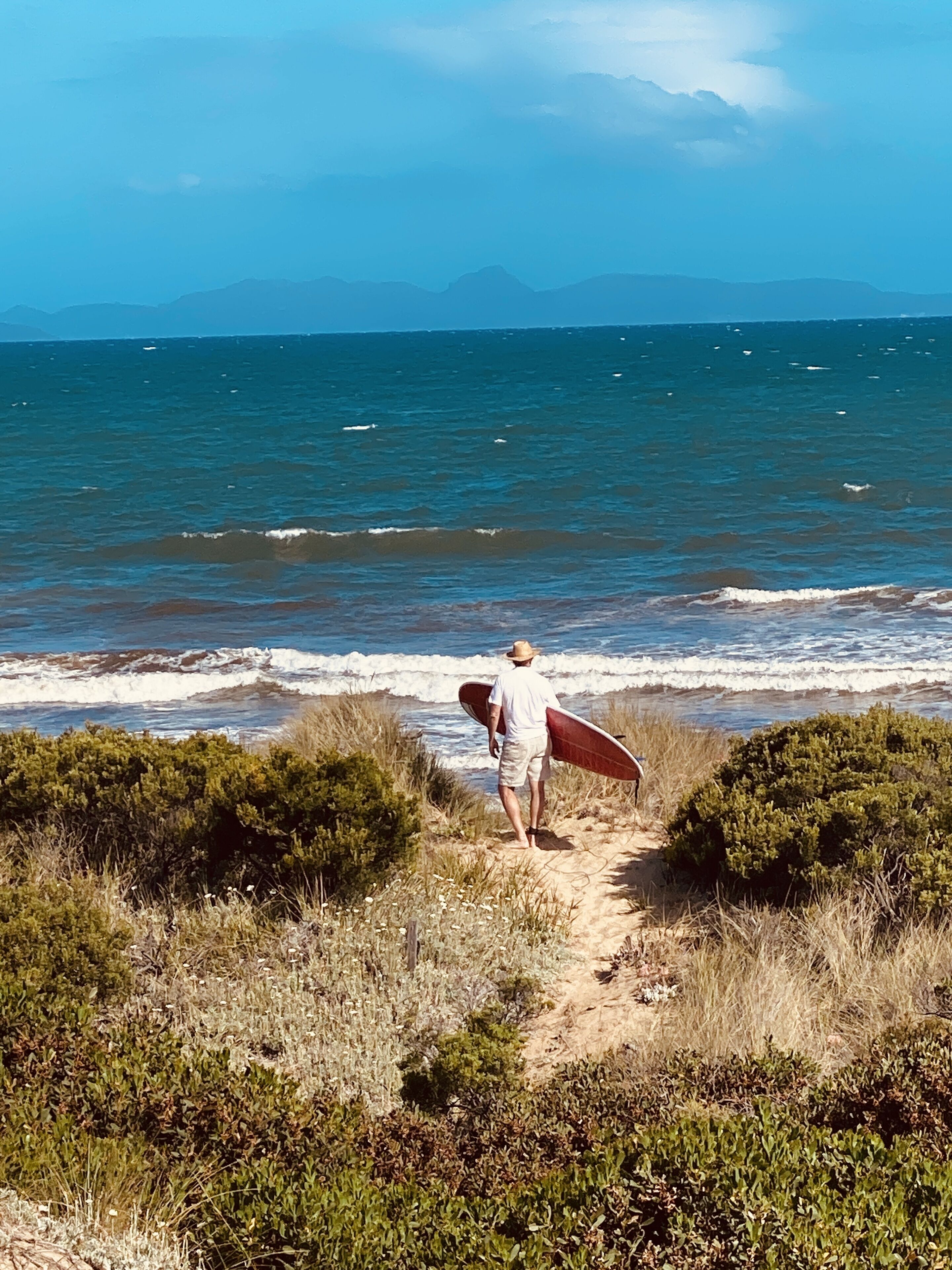 IdleWild - Secluded Absolute Beachfront Escape — image 27