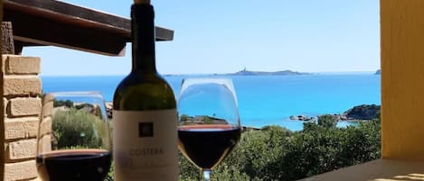 A bottle of Coster wine and a glass of red wine on a balcony with a view of the sea and a distant island.