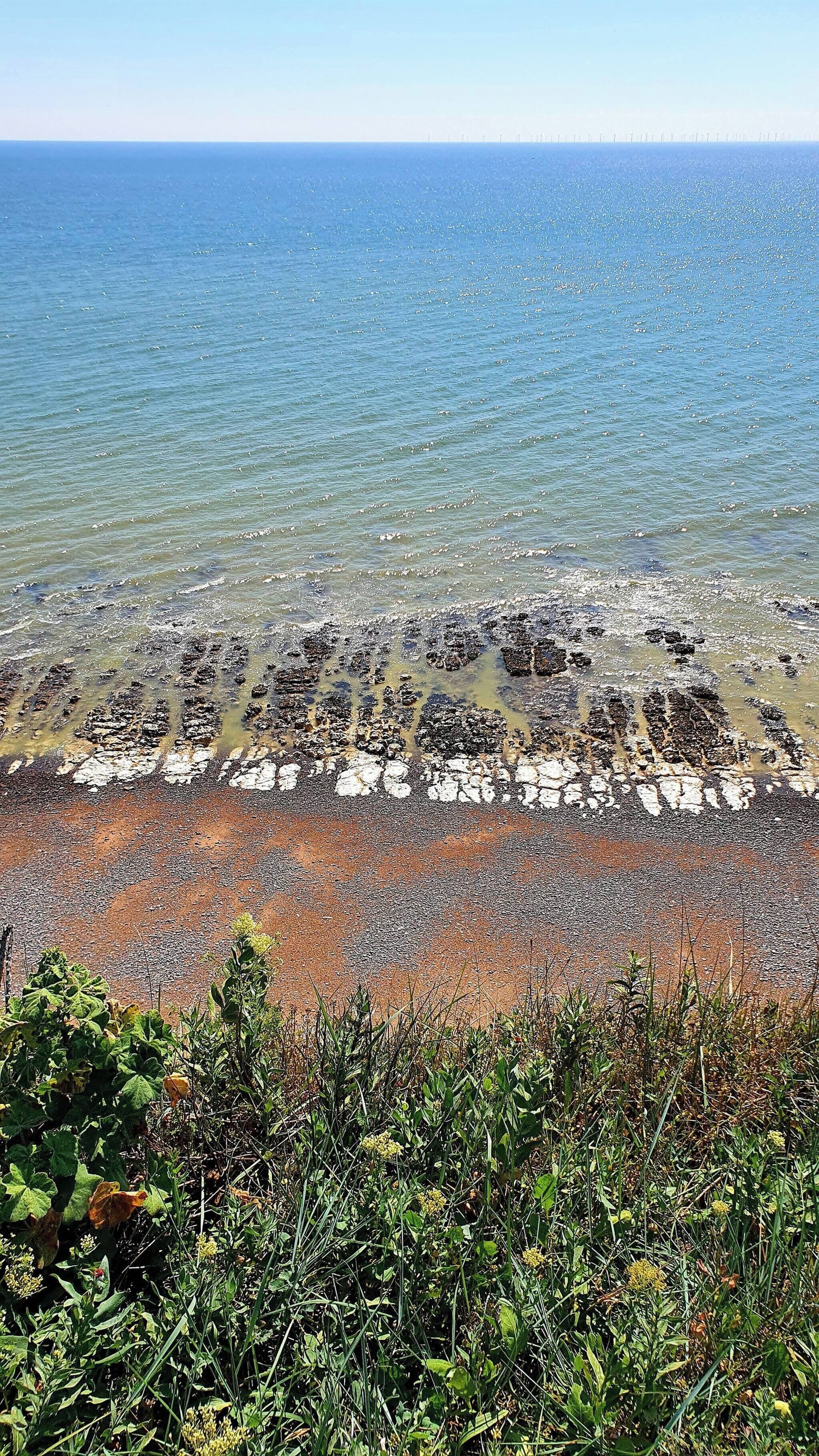 A rocky shoreline with clear water and vegetation in the foreground.