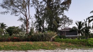 Une propriété située en bord de mer, dotée d’un grand arbre, d’une végétation luxuriante et d’un bâtiment avec un toit sombre.