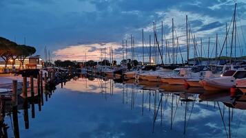 Apartment, 1 Bedroom, Balcony, Garden View | Boating