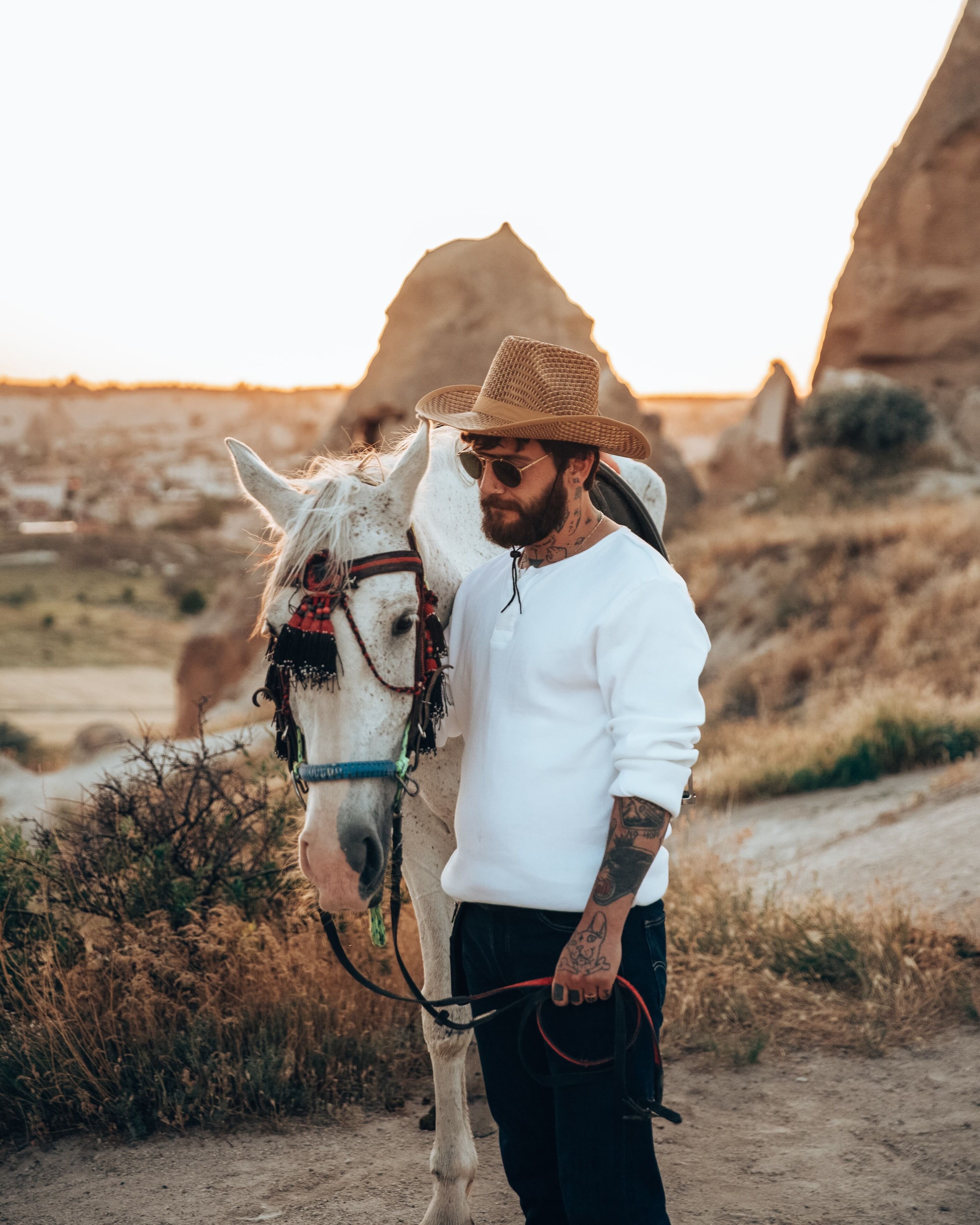 A person with a horse in a desert landscape with rocky formations in the background.