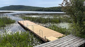 Eine Holzstege, der sich in einen See erstreckt, umgeben von dichter Vegetation.