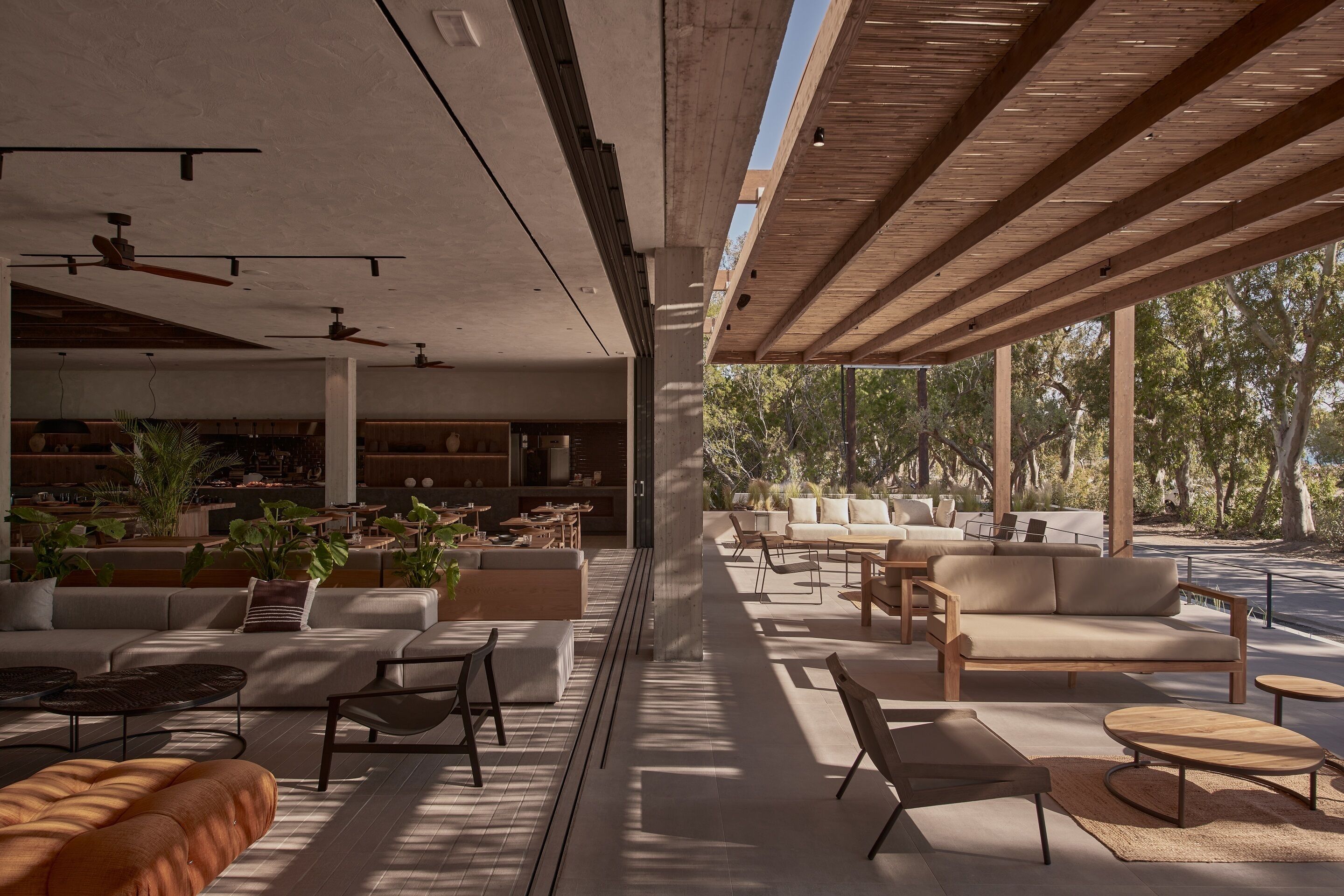 A spacious indoor area with modern furniture, large windows, and a view of trees.