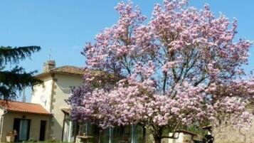 Terrein van de accommodatie