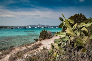Beach - Villa Oleandri 50m From Seashore (Golfo Aranci)