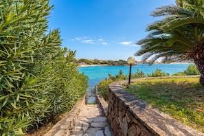 A stone pathway leading to a beach with a clear view of the sea and a palm tree.