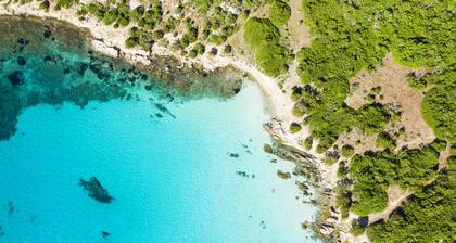 Villa Oleandri 50m From Seashore